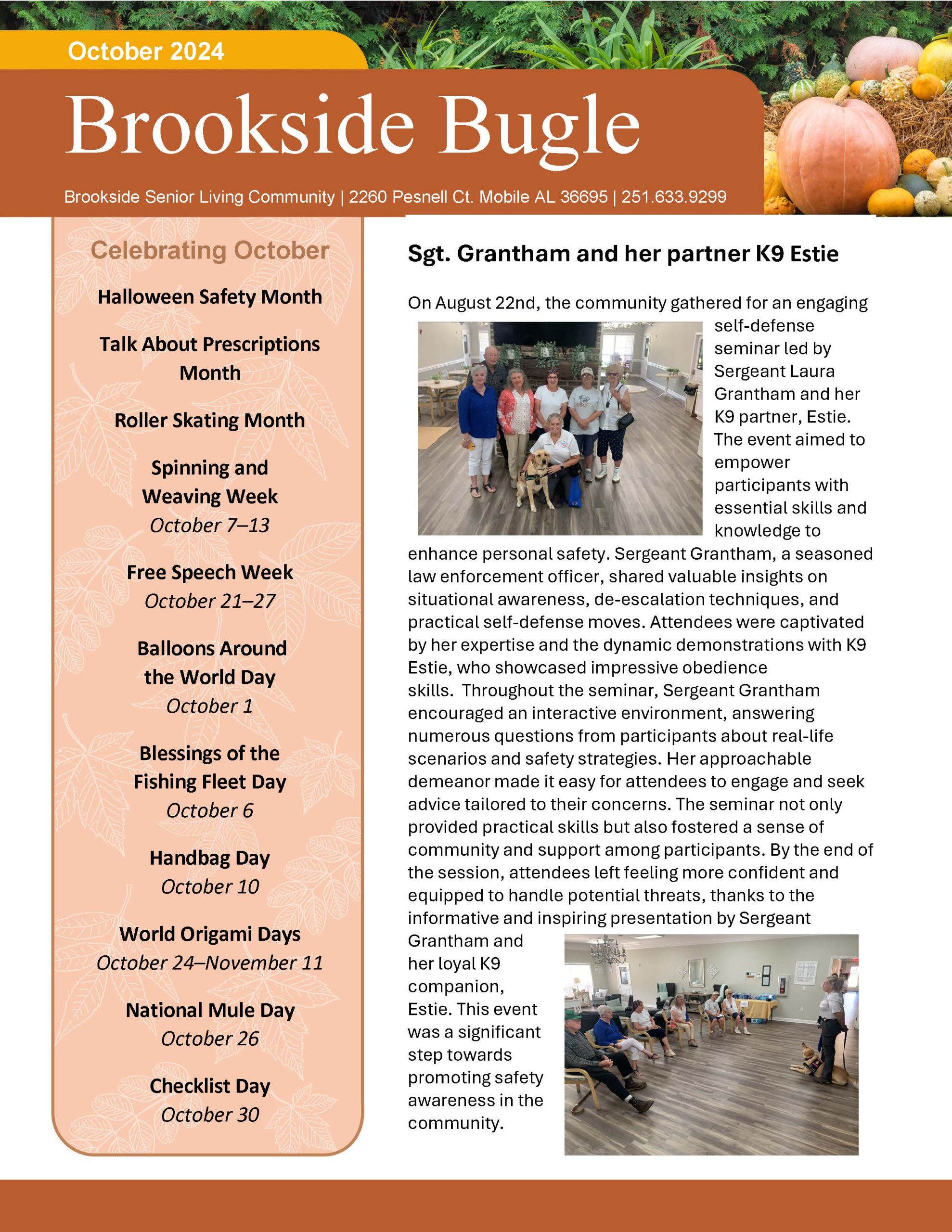 Brookside Senior Living Activity Calendar