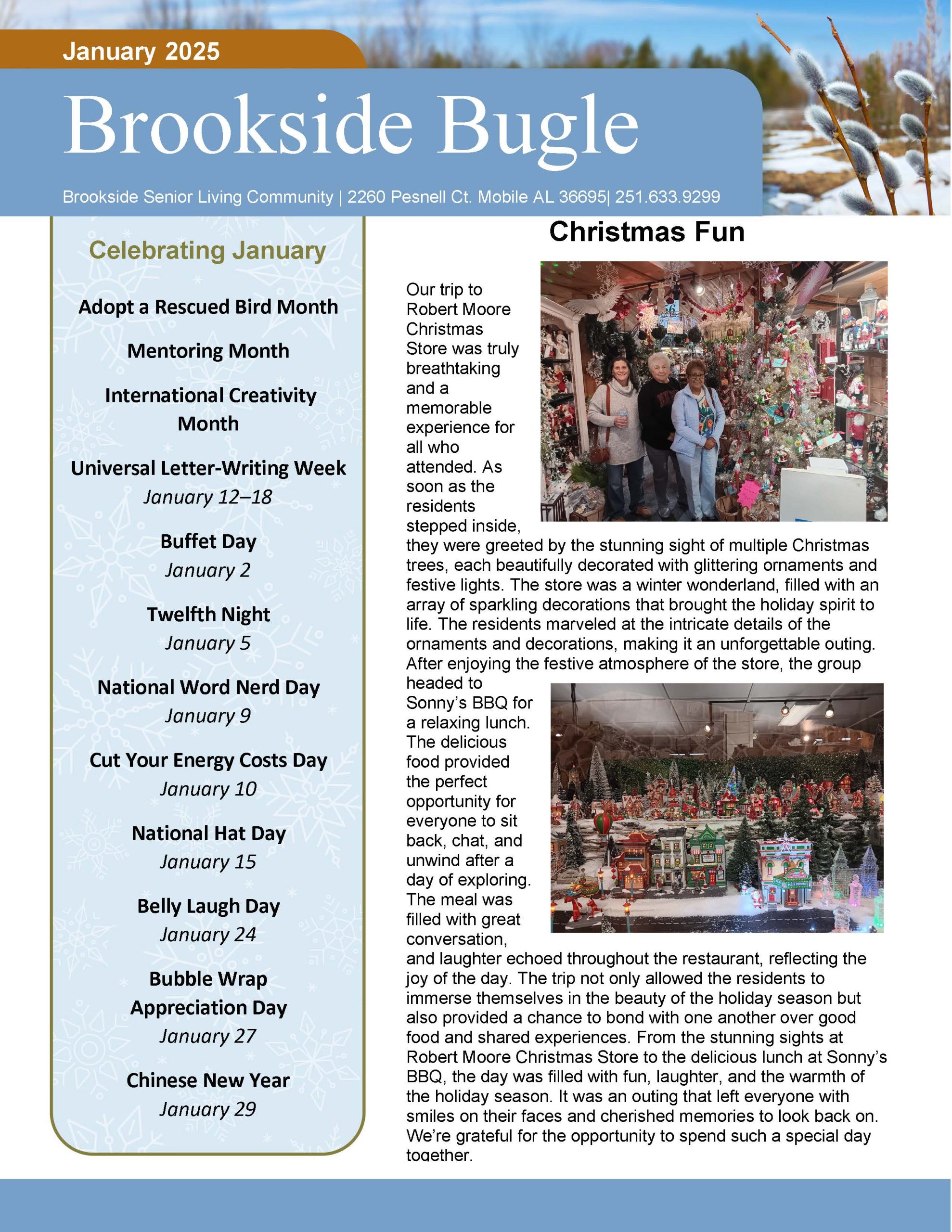 Brookside Senior Living Activity Calendar