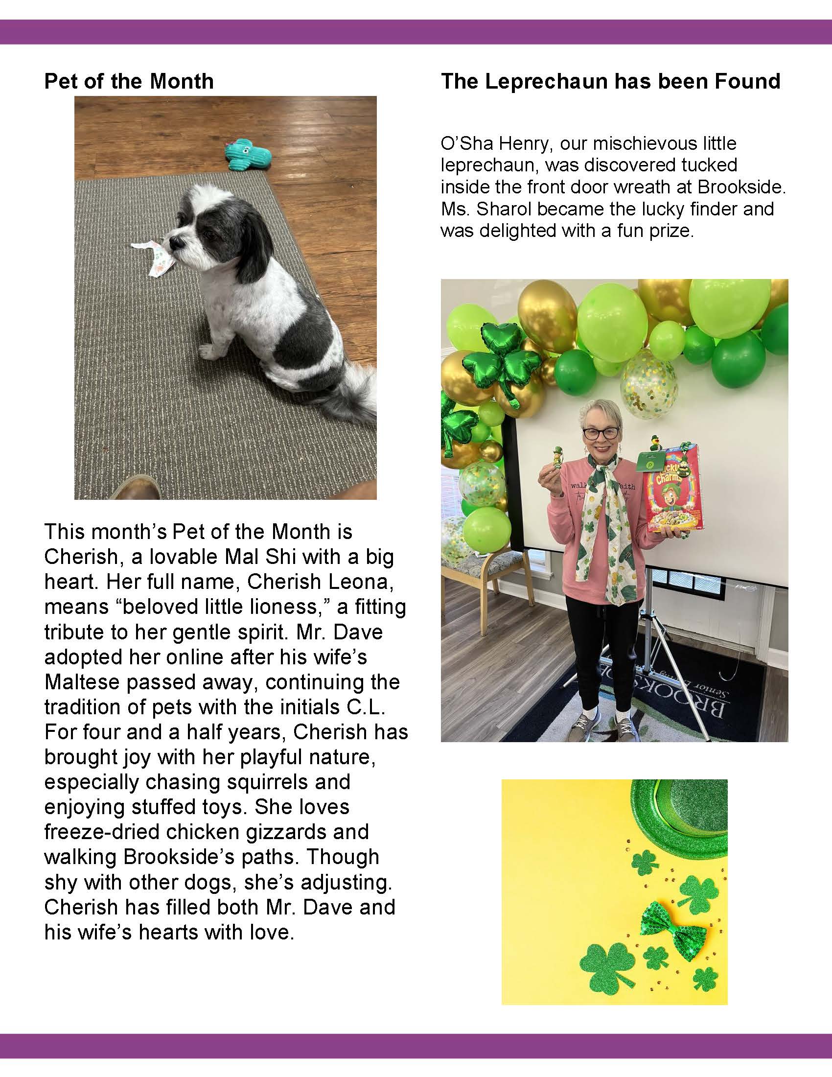 Brookside Senior Living Activity Calendar