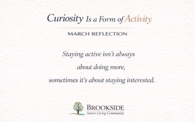 Curiosity Is a Form of Activity