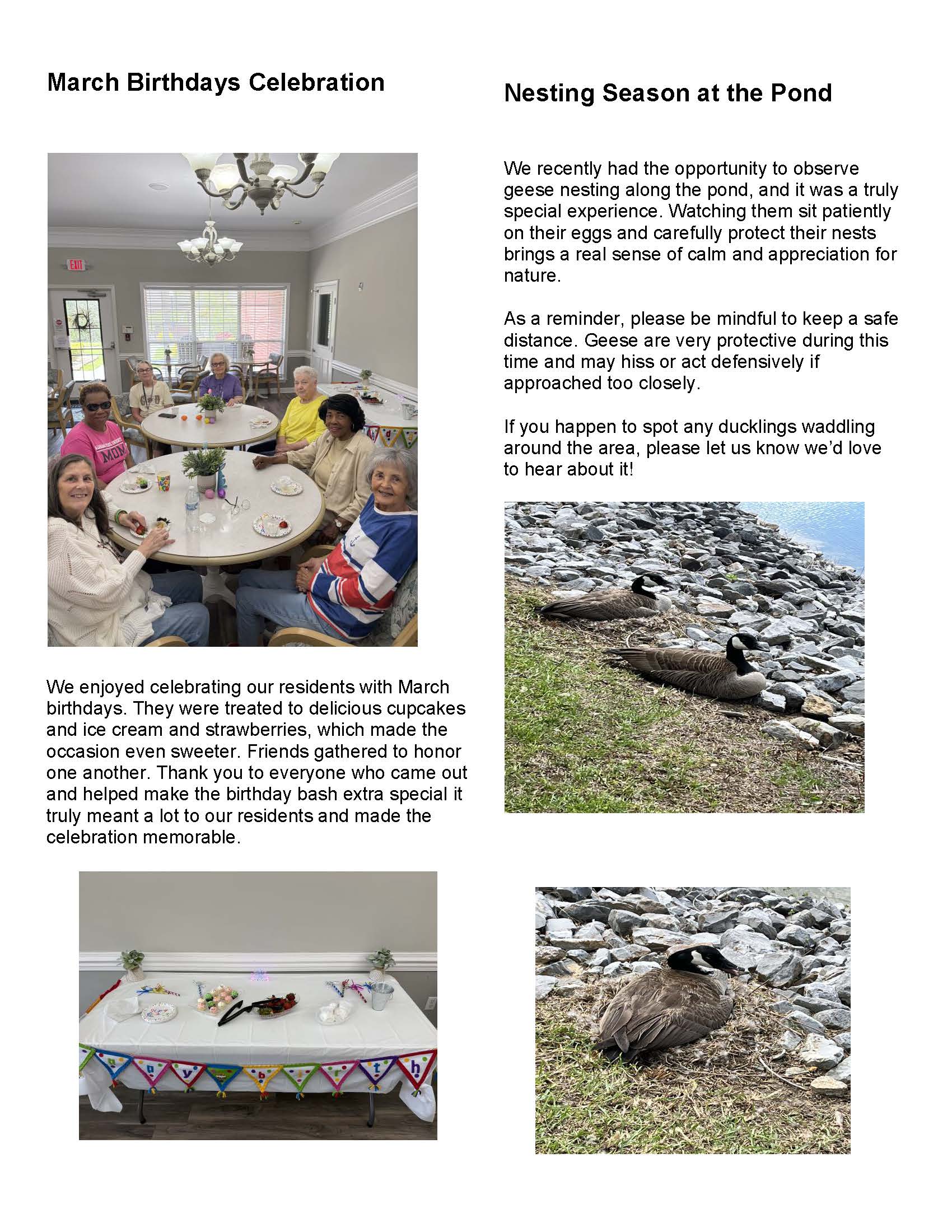 Brookside Senior Living Activity Calendar