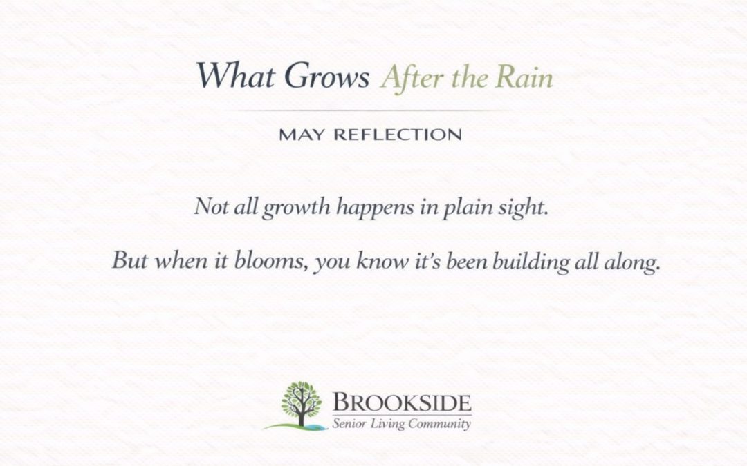 What Grows After the Rain