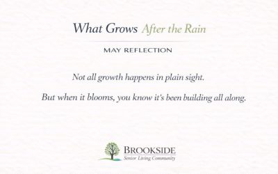 What Grows After the Rain